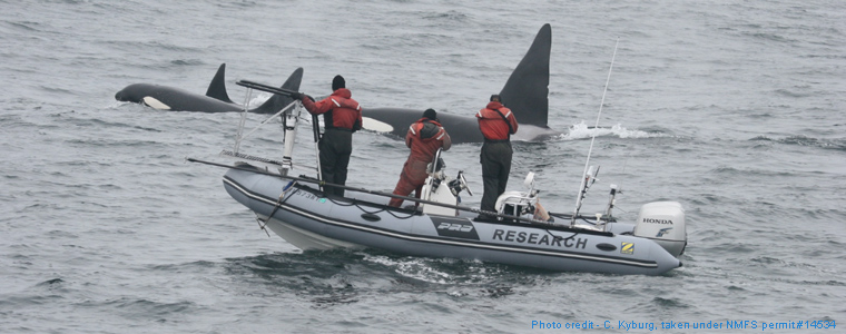 US Navy Monitoring Program