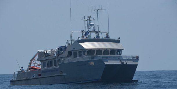 Shearwater_HJF_DSC_1652-1024x684sm.jpg