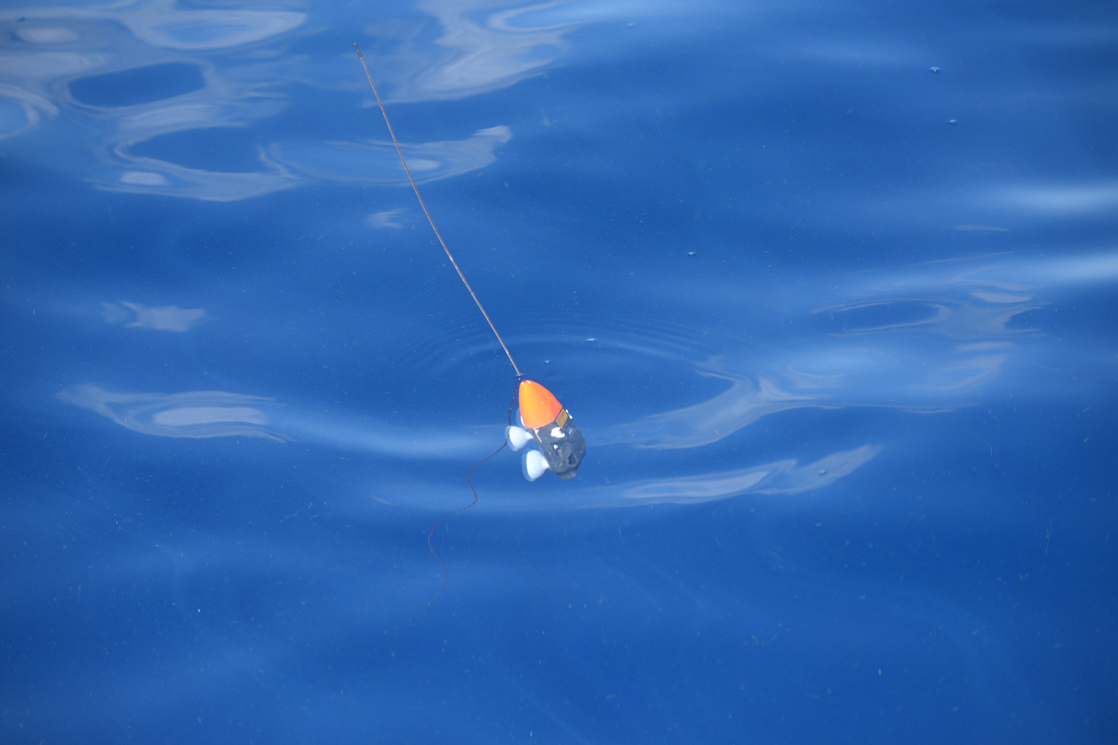Image slide of DTAG floating at the surface in the Gulf Stream just prior to retrieval on 8 August, 2022. Photograph by Andy Read.