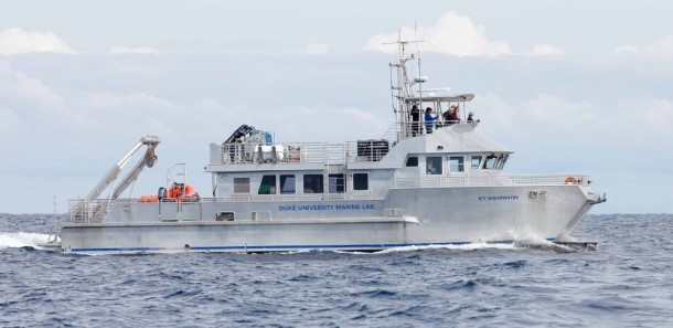 RV Shearwater.jpg