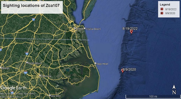 Map showing sighting locations of adult female Cuvier’s beaked whale (Ziphius cavirostris) “Zca107” first photographed by Duke University off Nags Head, NC on 09 August 2020 and subsequently photographed by HDR off Virginia Beach, VA on 19 August 2022.