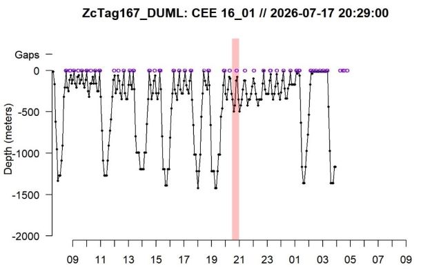 ZcTag167-610.jpg