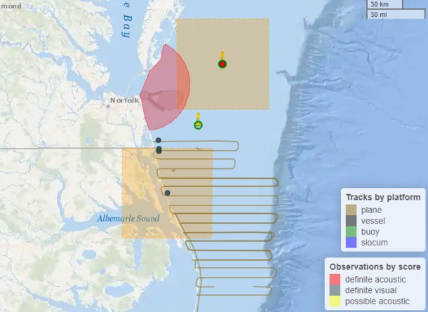 Whale Map